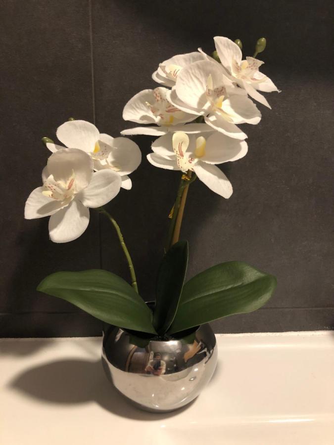 Apartament Chopina Łomianki Εξωτερικό φωτογραφία